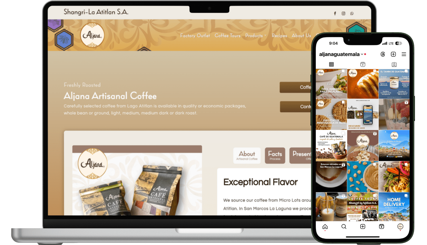 Welcome to the ultimate Tahini Experience with Aljana